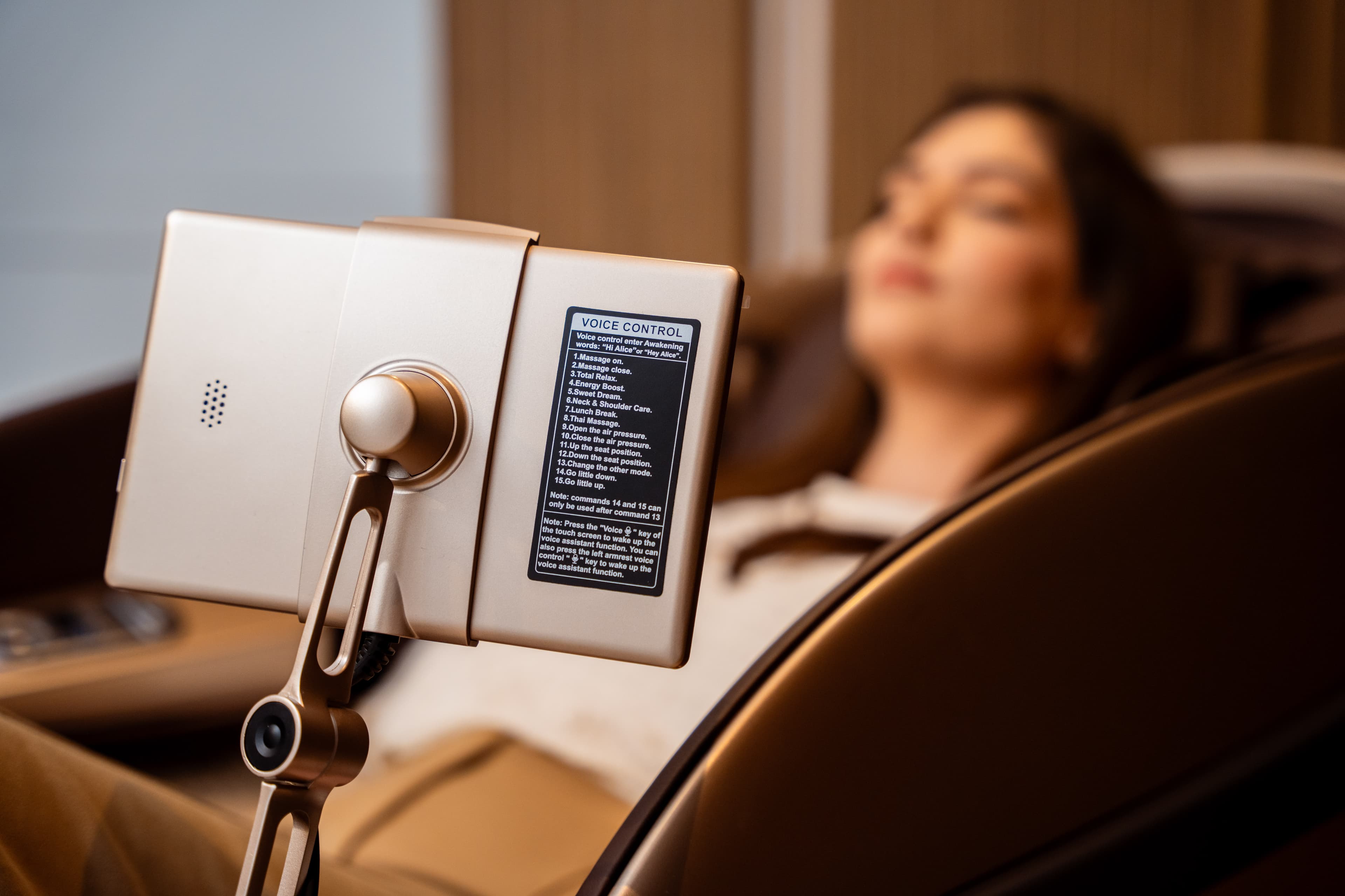 Sprachgesteuerter Assistent